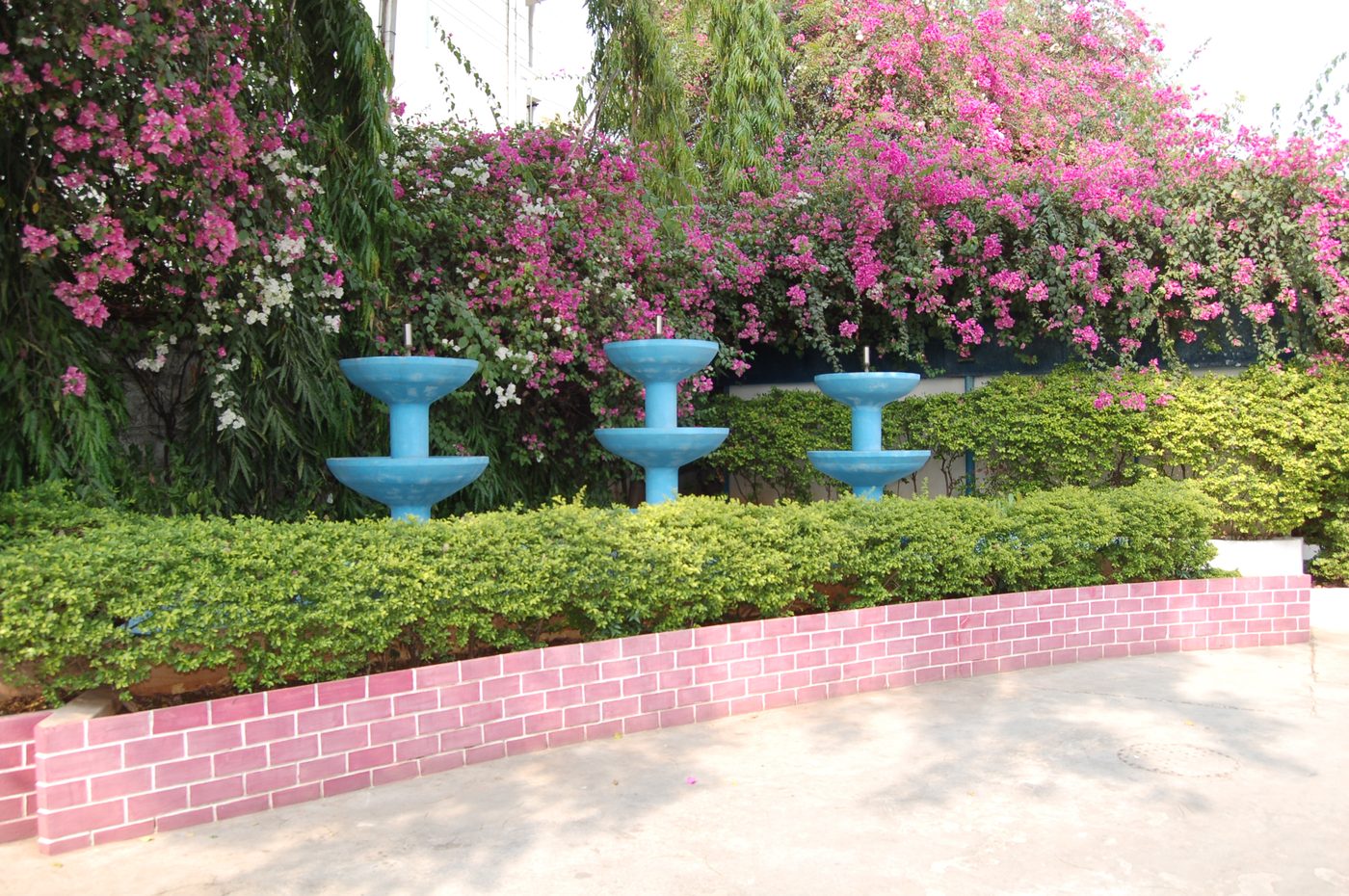Landscaped grounds at the Elegant Chemical Entp. Pvt. Ltd. facility